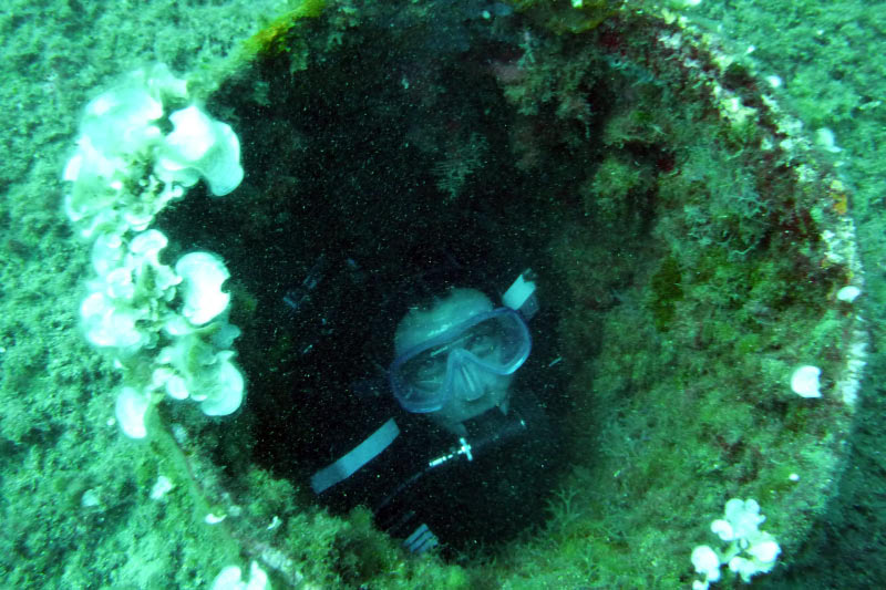 Cavalaire (41)