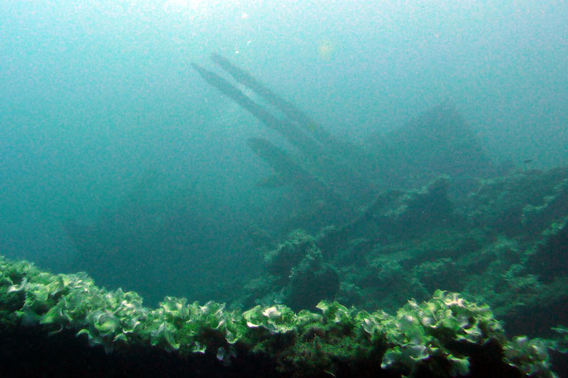 Cavalaire (44)