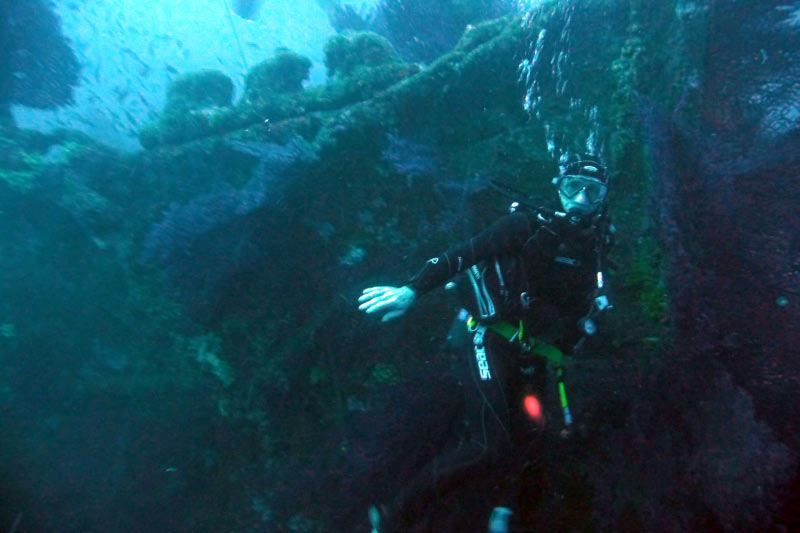 Cavalaire (65)