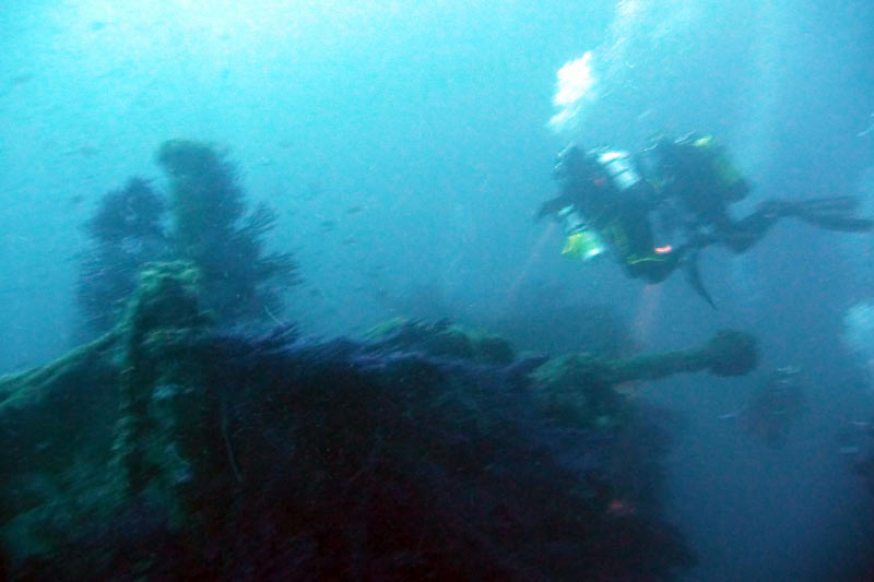 Cavalaire (66)