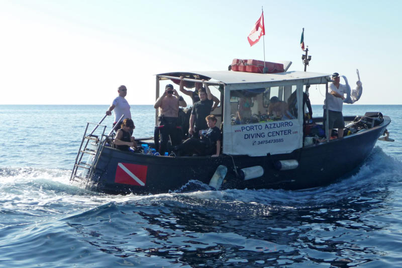 Elba (037)