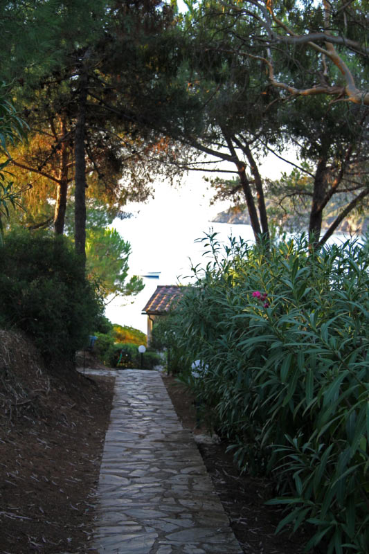 Elba (054)