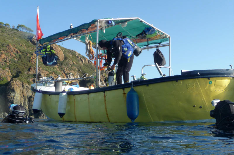 Elba (072)