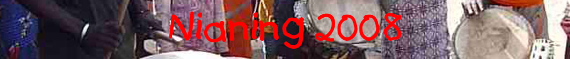 Nianing 2008_banner