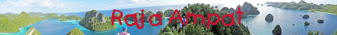 Raja Ampat banner