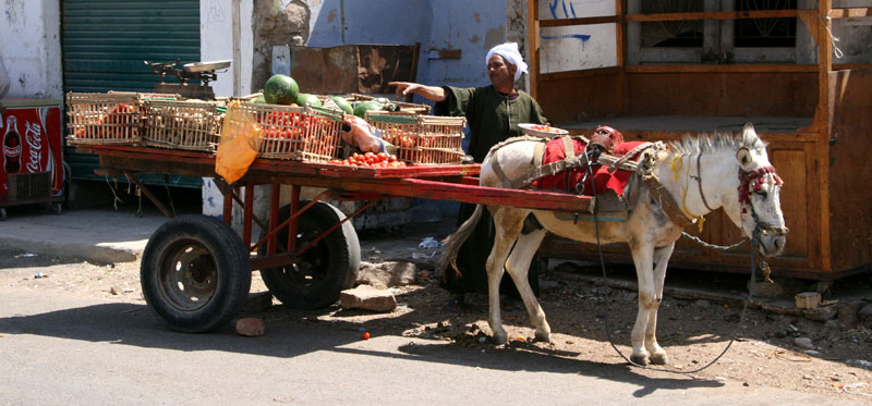 Marchand de légumes à Port Safaga